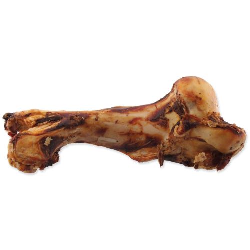 Bone Dog geknotet Größe M 1 Stück