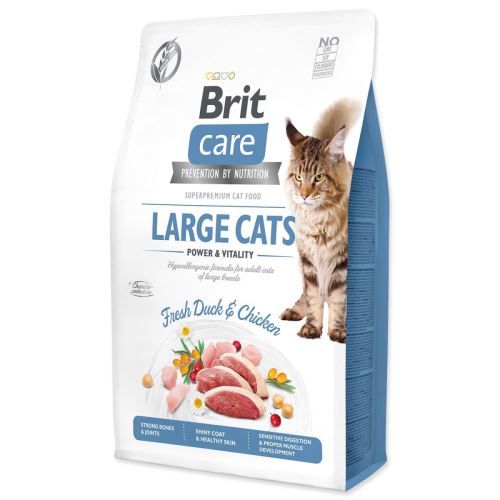 BRIT Care Cat Grain-Free Großkatzen Power & Vitality 2 kg