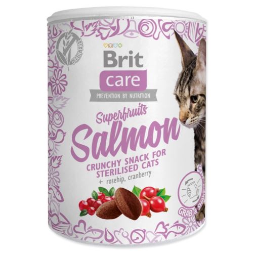 BRIT Care Cat Snack Superfruits Lachs 100 g